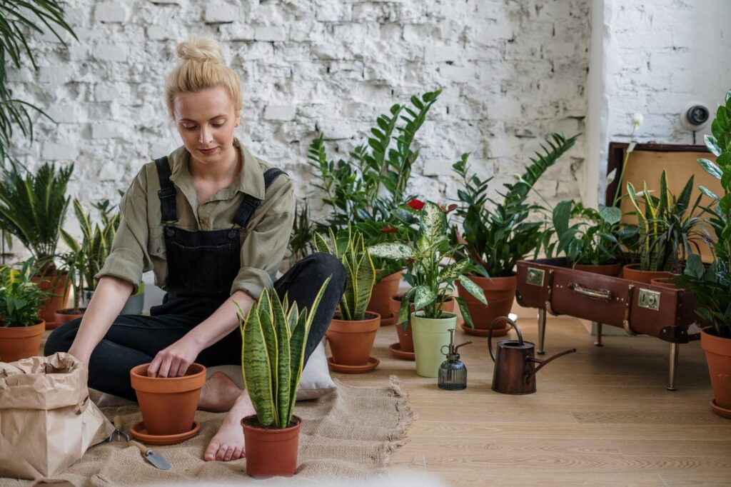 Creativity releases stress as when this woman takes the time to pot a variety of house plants. 