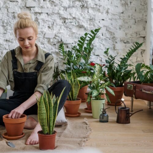 Woman on floor potting plants.